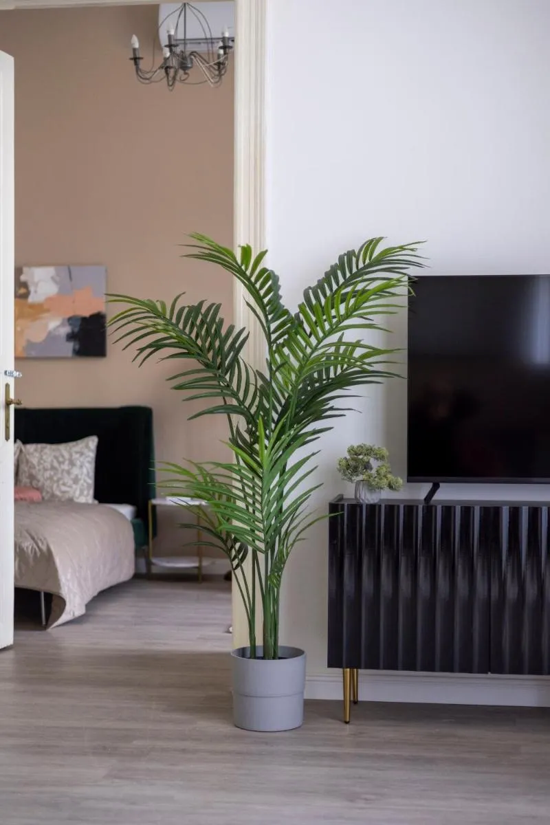 Image 4 of Spacious Vintage Apartment for 12PPL