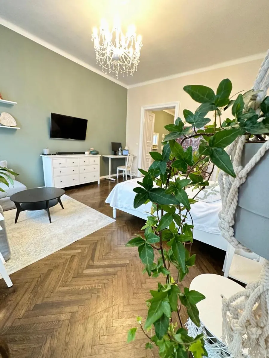 Image 5 of The Spot with Green Chair – cozy space near Danube